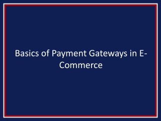 Basics of Payment Gateways in E-Commerce