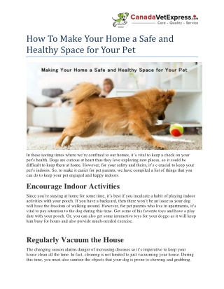 How To Make Your Home a Safe and Healthy Space for Your Pet