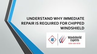 UNDERSTAND WHY IMMEDIATE REPAIR IS REQUIRED FOR CHIPPED WINDSHIELD