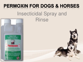 Permoxin Flea & Tick Controller for Dogs | Best Price Online Australia