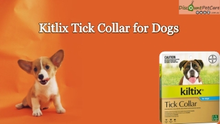 Buy Kiltix Tick Collar for Dogs Best Price Online Australia
