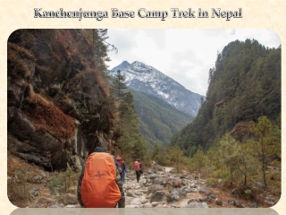 Kanchenjunga Base Camp Trek in Nepal