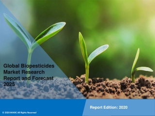 Biopesticides Market Size Analysis | Global Trend Forecast 2025