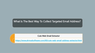 What Is The Best Way To Collect Targeted Email Address?