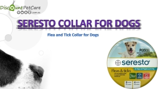 Seresto Flea and Tick Collar for Dogs