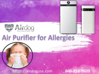 Air Purifier for Allergies provide you Allergies free air at a reasonable price - Airdog USA