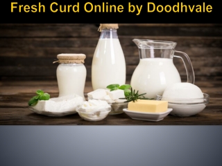 Buy Fresh Curd Online at Best Price in Delhi NCR