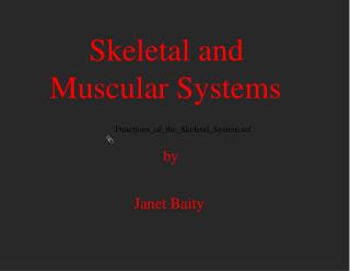 Skeletal and Muscular Systems