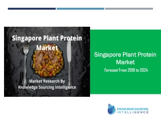 Market Research on Singapore Plant Protein Market by Knowledge Sourcing