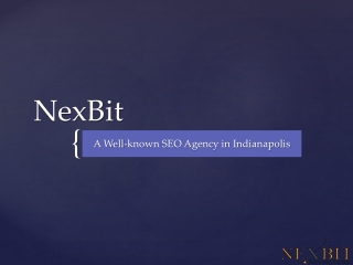 Outstanding SEO Company in Indianapolis | NexBit