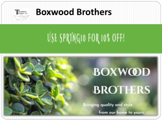 Artificial Boxwood Hedge Panels - Boxwood Brothers PPT