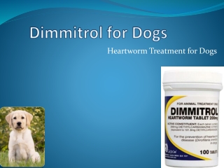 Dimmitrol Heartworm Tablets for Dogs at Best Price online Australia