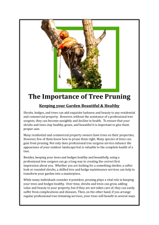 The Importance of Tree Pruning – Keeping your Hedges and Trees Beautiful and Healthy