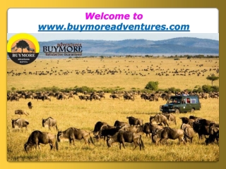 The Best Way to Plan a Vacation at Masai Mara