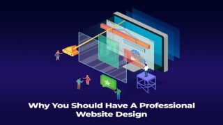 Know why You Should Have A Professional Website Design