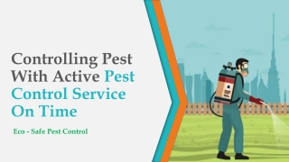 Pest Control – Dealing With Professional Pest Service