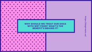 Why should we treat our dogs with wet food?