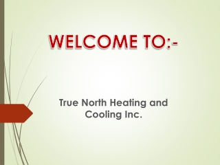Best Furnaces in Lacombe Park