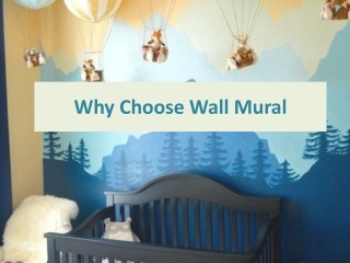 Why Choose Wall Mural