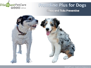 Frontline Plus - Flea and Tick Control for Dogs