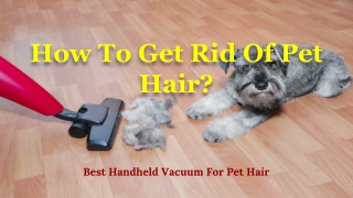How To Get Rid Of Pet Hair?
