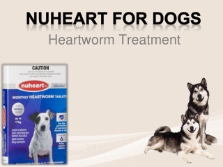 Buy Nuheart Heartworm Treatment for Dogs Online Australia
