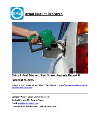 China E-Fuel Market Growth, Size, Share, Industry Report and Forecast 2019-2025