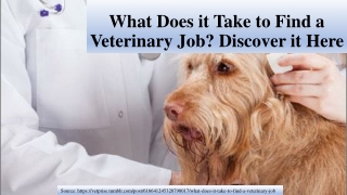 What Does it Take to Find a Veterinary Job? Discover it Here