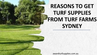 Reasons To Get Turf Supplies From Turf Farms Sydney