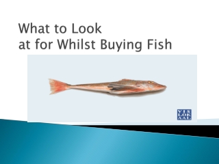 What to Look at for Whilst Buying Fish