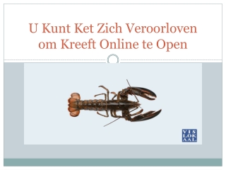 U Kunt Ket Zich Veroorloven om Kreeft Online te Open