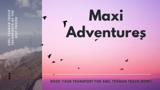 Book the best Abel Tasman track transport facilities