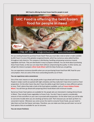 MIC Food is offering the best frozen food for people in need