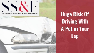 Huge Risk Of Driving With A Pet in Your Lap