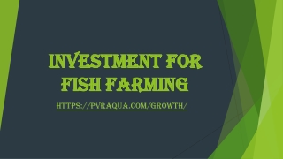 Investment for fish farming