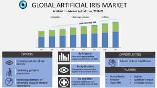 Artificial Iris Market - Industry Analysis, Size, Share, Growth, Trends, and Forecast 2020-2026