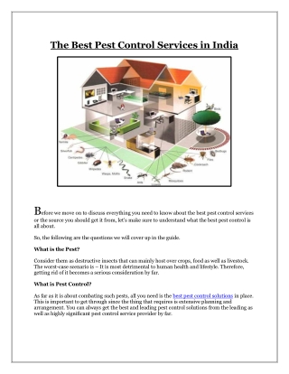 The Best Pest Control Services in India