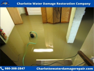 Best Charlotte Water Damage Restoration Company
