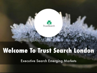 Information Presentation Of Trust Search London