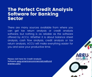 ACCU: The Perfect Credit Analysis Software for Banking Sector