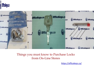 Things you must know to Purchase Locks from On-Line Stores