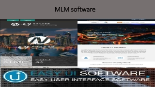 MLM software