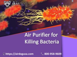 Latest Model of Air Purifier for Killing Bacteria with TPA® technology at Low-cost Price - Airdog USA