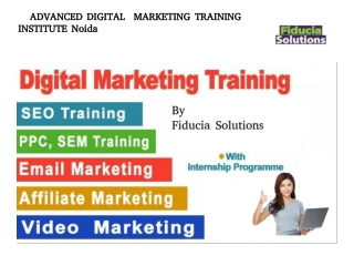 Advance Digital Marketing Training institute in Noida