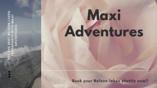 Ride with the best Nelson lakes transports