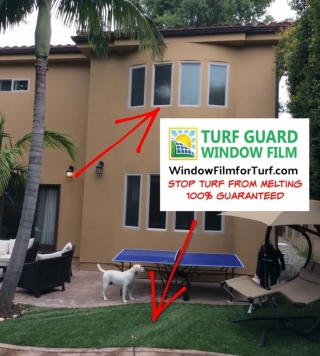 Protect Your Grass Against Window Glare