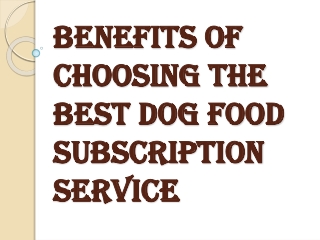 Benefits of Choosing the Best Dog Food Subscription Service