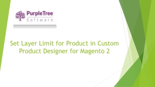 Set layer limit for Product in Custom Product Designer for Magento 2