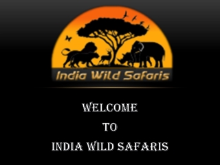 Best Wildlife Tour Operators In India
