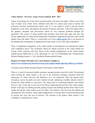 Valine Market – Overview, Scope, Precise Outlook 2019 – 2027